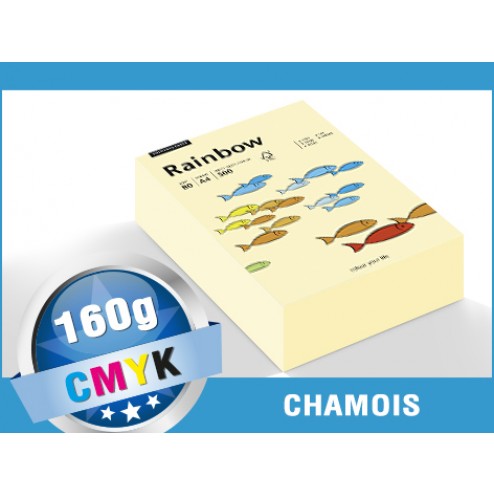Farbige Papiere 160g/m² DIN A4 - Papyrus Rainbow (chamois)