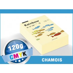 Farbige Papiere 120g/m² DIN A4 - Papyrus Rainbow (chamois) Karton 1.250 Blatt - 7312